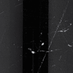 Swatch Clima Bottle | Black Marble - 330 ml