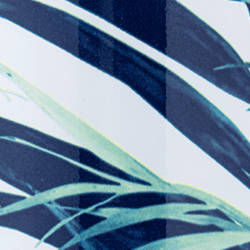 Swatch Clima Bottle | Lush - 500 ml