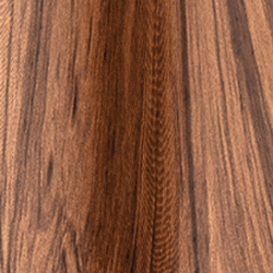 Swatch Clima Bottle | Sequoia Wood - 500 ml