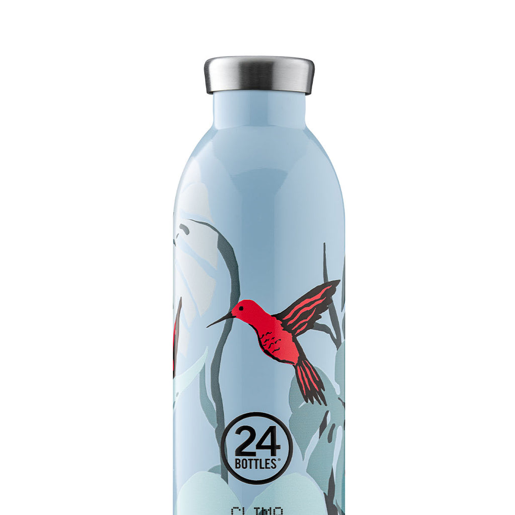 Clima Bottle | Blue Oasis - 500 ml